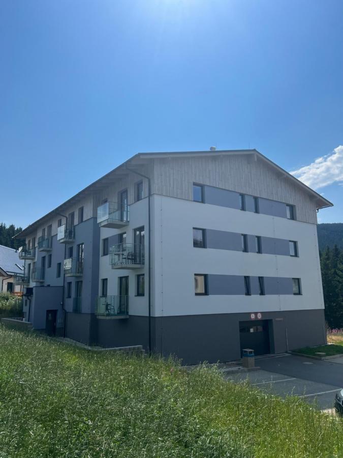 Klinovec-Apartments Loučná pod Klínovcem Eksteriør billede